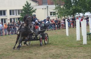 Les parcours des attelages sont spectaculaires. (Photo archives DNA)