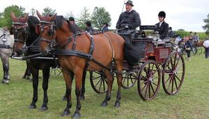 Il faut coordonner les deux chevaux et le travail des deux hommes