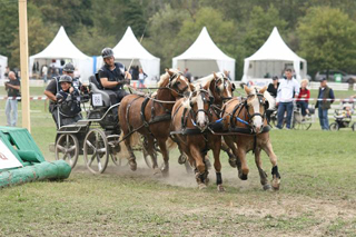 Rolf Guthmann MIRIBEL 2006