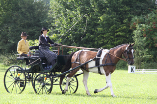 Judith au dressage