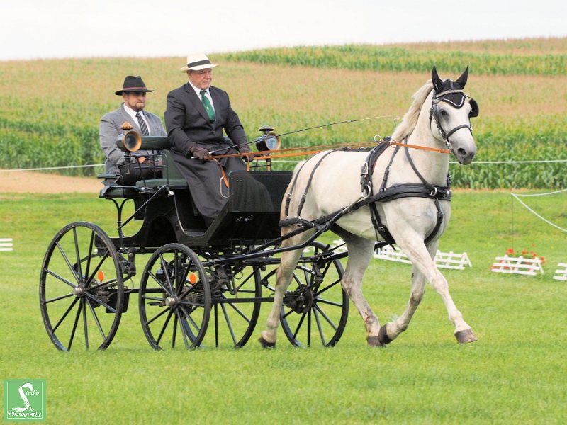 003 KRAUFFEL LEONARD_B8050799_18x24