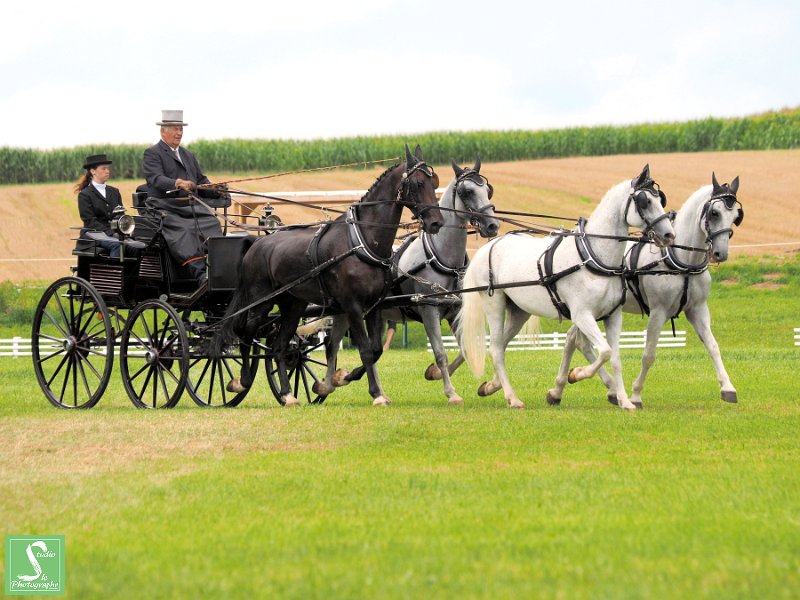 035 KNELL GEORG_B8050602_18x24